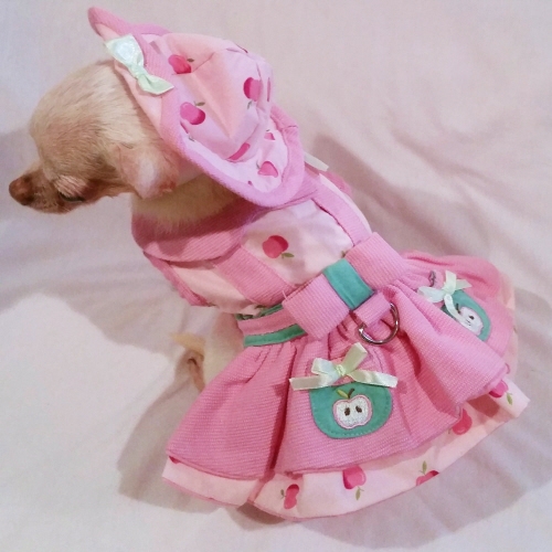 Platinum Puppy Couture（プラチナ パピー クチュール）Apple Picking Dog Harness Dress アップル ピッキング ハーネス ドレス セット