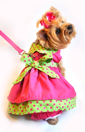 Doggie Design（ドギーデザイン）Hot Pink and Lime Green Polka Dot Dog Dress Set ホット ピンク ポルカドット ドレスセット