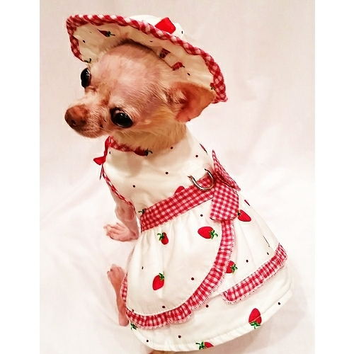 Platinum Puppy Couture（プラチナ パピー クチュール）Strawberries & Cream Harness Dress ストロベリー クリーム ハーネス ドレス