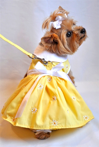 Doggie Design（ドギーデザイン）Yellow Denim and Daisy Dog Dress Set イエロー デニム デイジー ドレス セット