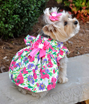 Doggie Design（ドギーデザイン）Fuchsia Flower Garden Dress フクシア フラワー ガーデン ドレス セット