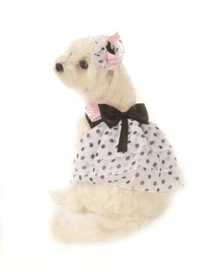 【Doggie Design】B. Pink Satin & Polka Dot Chiffon Dress W/ Veil Hat