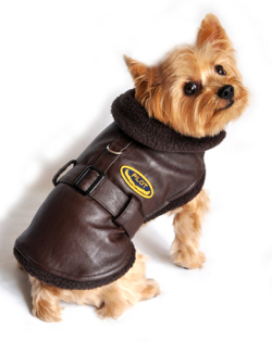 Doggie Design（ドギーデザイン）Brown Bomber Jacket Coat ブラウン ボンバー コート
