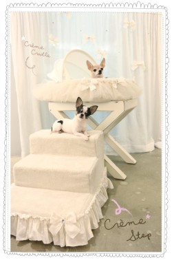 Louisdog（ルイスドッグ）通販 犬の階段 Creme Step Grand クレーム