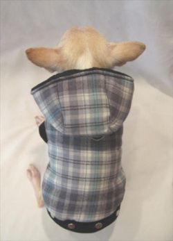 Platinum Puppy Couture（プラチナ パピー クチュール）Snuggle Flannel Studded Dog Coat スナッグル フランネル スタッド コート