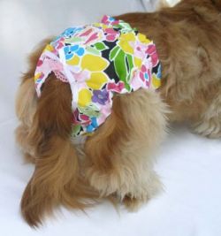 Doggie Design（ドギーデザイン）Flower Print Panties フラワー プリント パンティー