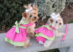 Doggie Design（ドギーデザイン）Hot Pink and Lime Green Polka Dot Dog Dress Set ホット ピンク ポルカドット ドレスセット