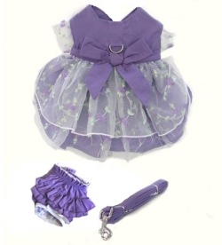 Lavender Garden Party Dog Dress Set ラベンダー ガーデン パーティ ドレス セット