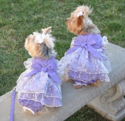 Doggie Design（ドギーデザイン）Lavender Garden Party Dog Dress Set ラベンダー ガーデン パーティ ドレス セット
