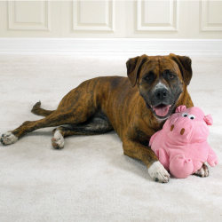 Toys Selection（セレクション）Barnyard Grunters Dog Toys ビッグ ファーム アニマル ドッグ トイ