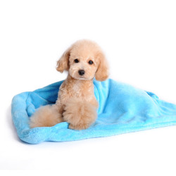 DOGO（ドゴ）Blanket Bed Blue ブランケット ベッド ブルー
