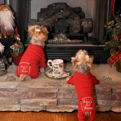 Doggie Design（ドギーデザイン）Christmas Dog Pajama クリスマス ドッグ パジャマ