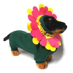 Doggie Design（ドギーデザイン）New Flower Dog Costume ニュー ビバリーヒルズ フラワー コスチューム
