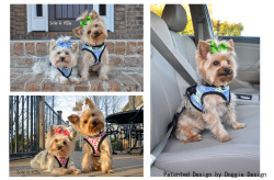 Doggie Designに著作権がございます。転載厳禁です。