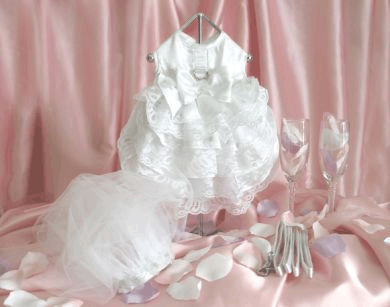 【Doggie Design】Wedding Dress W/Veil & Leash