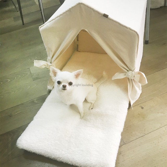Louisdog（ルイスドッグ）犬用ベッド Peekaboo/Natural Petit ピーカブ ナチュラル ハウス ベッド プチサイズ