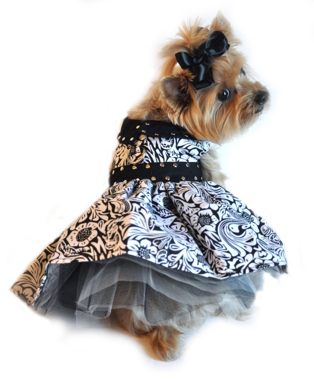 Doggie Design（ドギーデザイン）Black and White Floral Dog Dress ブラック ホワイト フローラル ドレス