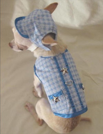 Blue Little Star Dog Harness ブルー リトル スター ドッグ ハーネス