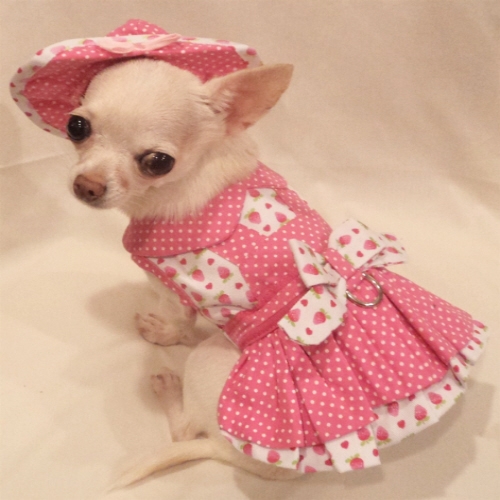 Platinum Puppy Couture（プラチナ パピー クチュール）Strawberry Patch Harness Dress ストロベリー パッチ ハーネス ドレス