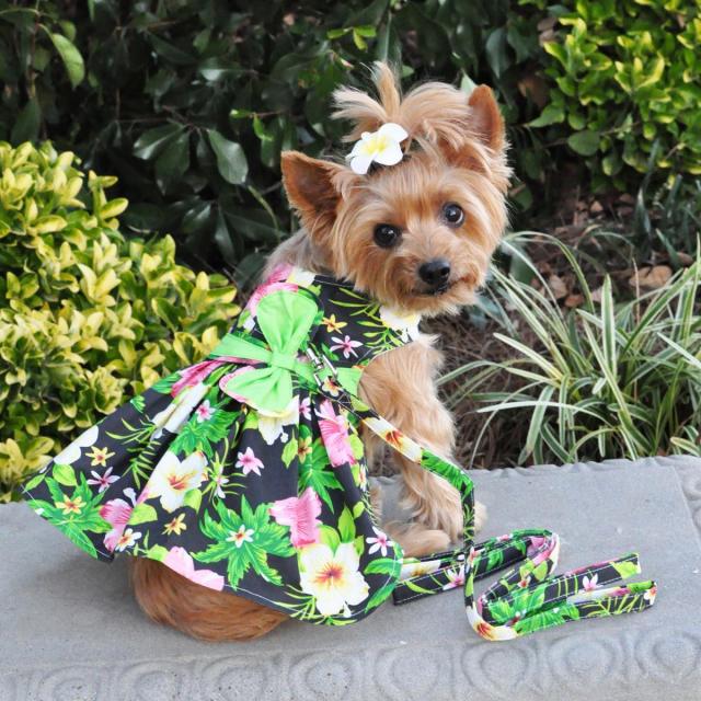 Doggie Design（ドギーデザイン）Twilight Black Hawaiian Hibiscus Dog Dress トワイライト ブラック ハワイアン ハイビスカス ドレス