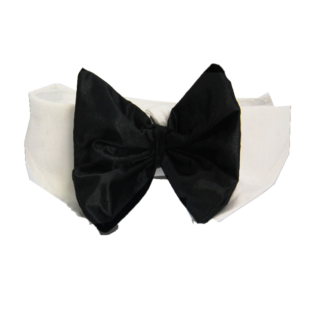 Doggie Design（ドギーデザイン）Black Satin Dog Bow Tie and Collar ブラック サテン ボウタイ アクセサリー