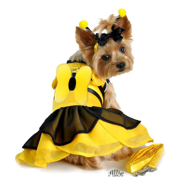 Doggie Design（ドギーデザイン）BumbleBee Fairy Dog Costume バンブルビー フェアリー コスチューム