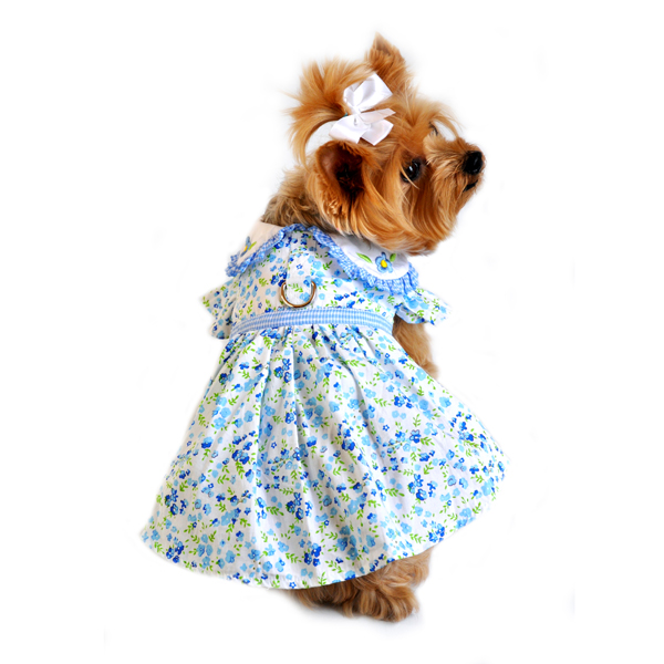 Doggie Design（ドギーデザイン）Blue Belle Floral　Gingham Dog Dress ブルーベル フローラル ギンガム ドレス