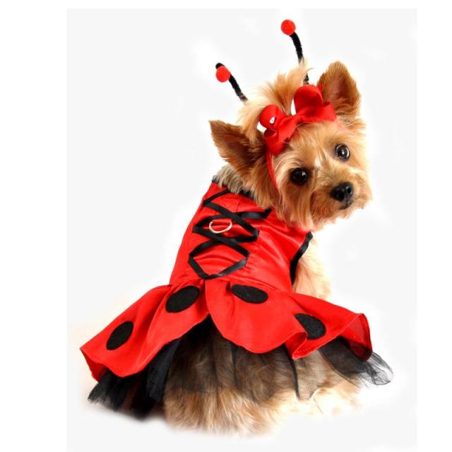 Doggie Design（ドギーデザイン）Lady Bug Fairy Dog Costume レディーバグ フェアリー コスチューム
