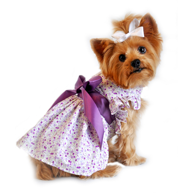 Doggie Design（ドギーデザイン）Wisteria Floral Dog Dress ウィステリア フローラル ドレス