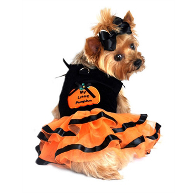 My Lil’ Pumpkin Tutu Embroidered Dress パンプキン チュチュ ドレス
