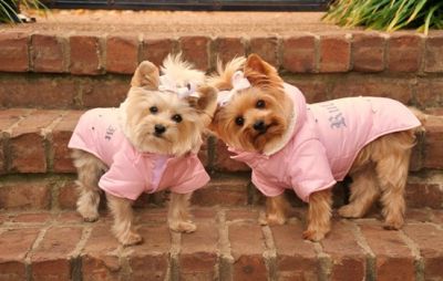 Doggie Design（ドギーデザイン）Pink Parka Coat ピンク パーカー コート リムーバブル フード