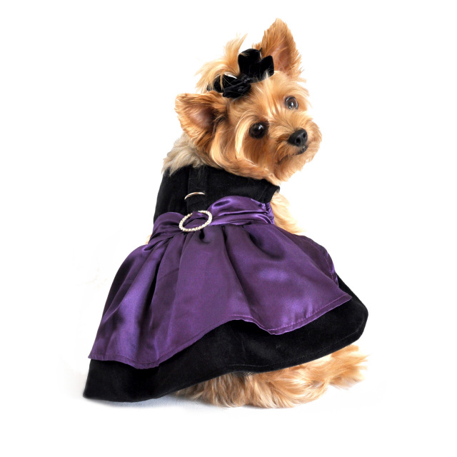 Doggie Design（ドギーデザイン）Velvet Holiday Dog Dress ベルベット ホリディ ドレス セット