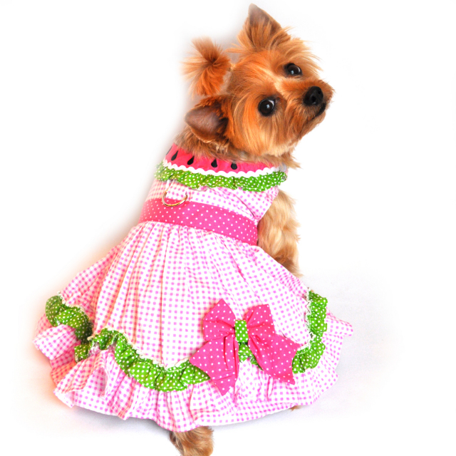 Doggie Design（ドギーデザイン）Watermelon Dog Dress ウォーターメロン ドレス