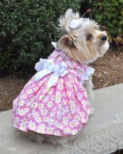 Doggie Design(ドギーデザイン)Pink Daisy Flower Garden Dress デイジー フラワー ガーデン ドレス セット