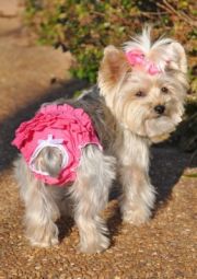 Doggie Design(ドギーデザイン)NEW Ruffled Solid Pink Panties ニュー フリル ピンク パンティー